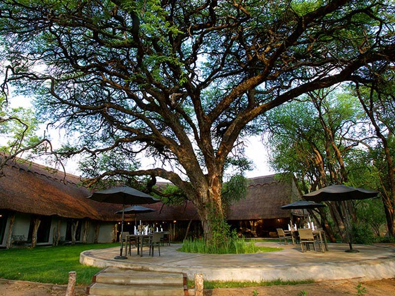Zimbabwe Camelthorn Lodge Hwange National Park