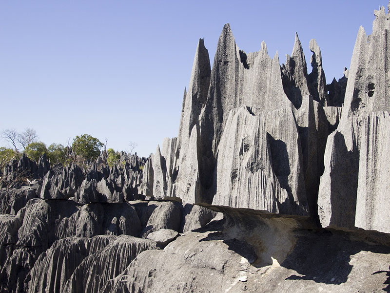 Madagascar_Tsingy_800x600 Rock formations of Tsingy De Bemaraha National Park, Madagascar