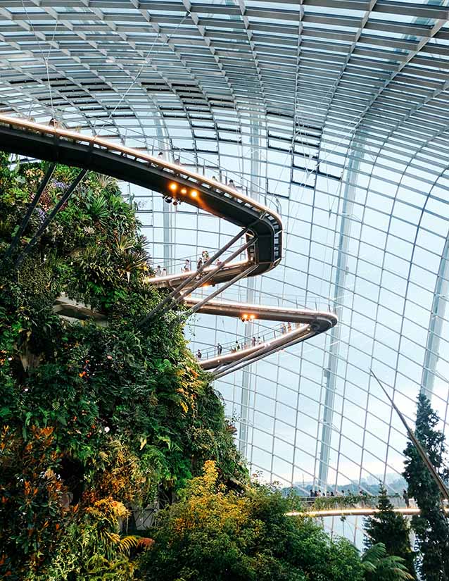 Singapore_Rainforest_638x825 Enjoy a fantastic experience visiting the cloud forest within Gardens by the Bay in Singapore