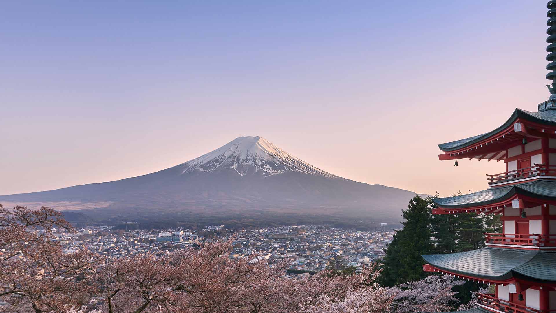 Sunning views of Mt Fuji and Chureito Pagoda from Arakurayama Sengen Park, Japan